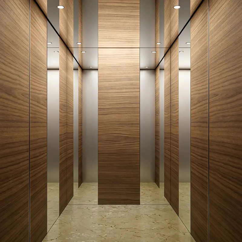 Modern träfaner Cabin Interiör Villa Passagerarlift