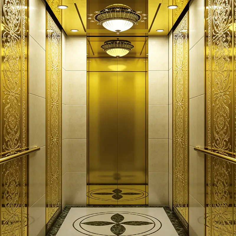 Golden Age Titanium Mirror Finish Luxury Home Lift